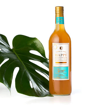 Kombucha Ginger Sour - Happy Kombucha 160ml